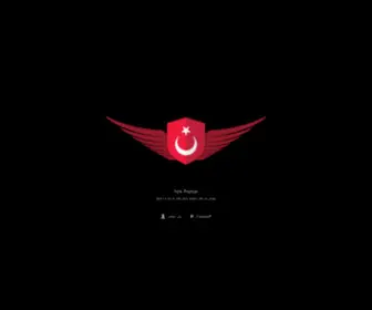 Turkpilotlar.com(Türkpilotlar) Screenshot