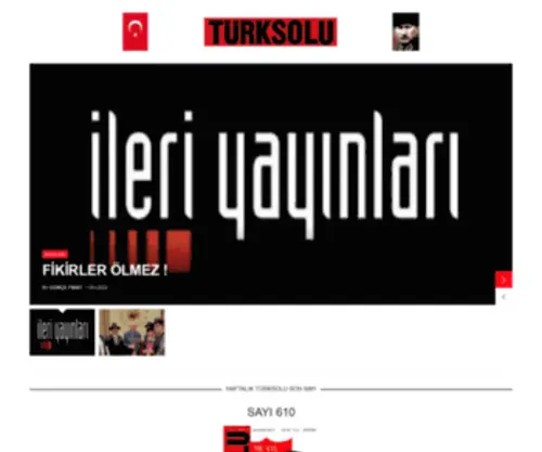 Turksolu.com.tr(TürkSolu) Screenshot