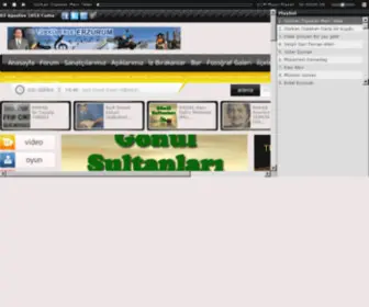 Turkulerleerzurum.com(Türkülerle Erzurum) Screenshot