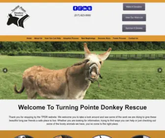 Turningpointedonkeyrescue.com(Turningpointedonkeyrescue) Screenshot