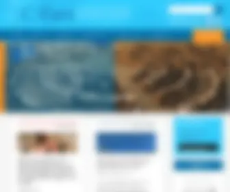 Turtlebayandbeyond.org(Turtle Bay and Beyond) Screenshot