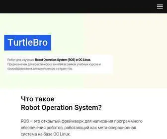 Turtlebro.ru(Учебный) Screenshot