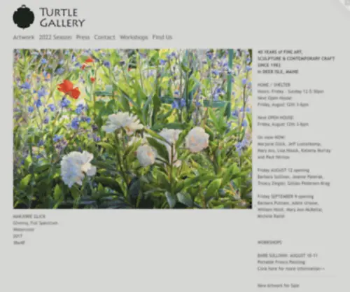 Turtlegallery.com(The Turtle Gallery) Screenshot