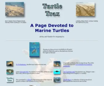 Turtles.org(Turtle Trax) Screenshot