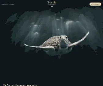 Turtlevc.co(Turtle Ventures) Screenshot