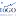 Tuttogolfo.it Favicon