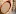 Tuttosullievito.it Favicon
