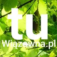Tuwiazowna.pl Logo