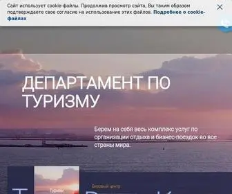 TVC-Group.ru(визы) Screenshot