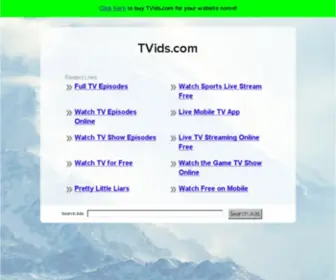 Tvids.com(The Leading Movies Site on the Net) Screenshot