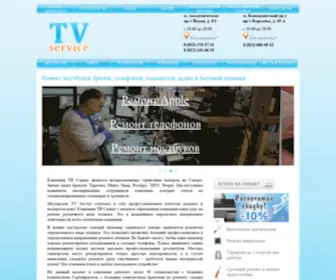 TVS-SPB.ru(Ремонт ноутбуков) Screenshot