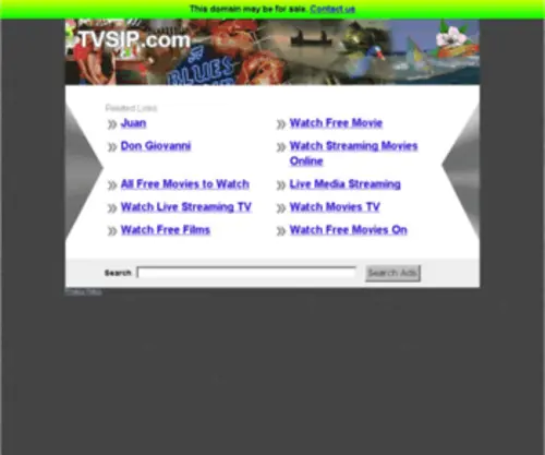 Tvsip.com(The Leading TV SIP Site on the Net) Screenshot