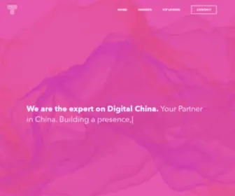 Twinova.com(The Expert on Digital China) Screenshot