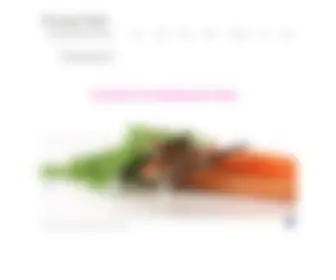 Twistedtails.com(Braided horsehair jewelry) Screenshot