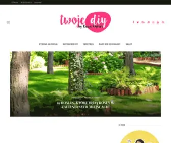 Twojediy.pl(Twoje DIY) Screenshot