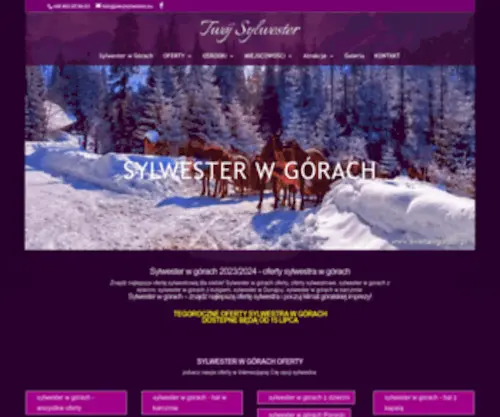 Twojsylwester.eu(Sylwester w górach) Screenshot