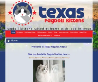 Txragdollkitten.com(Texas Ragdoll Kittens) Screenshot