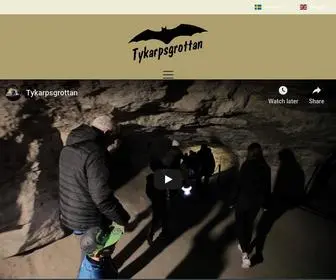 Tykarpsgrottan.net(Sevärdhet) Screenshot