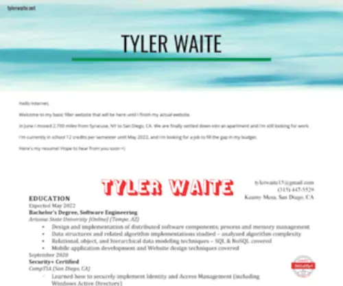 Tylerwaite.net(tylerwaite) Screenshot