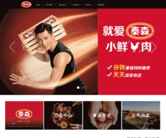 Tyson.com.cn(泰森中国) Screenshot