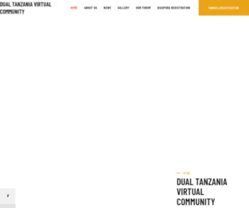 TZDVC.com(Dual Tanzania Virtual Community) Screenshot
