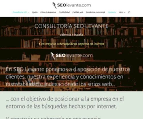 U-Serexperience.com(Consultor SEO Freelance) Screenshot