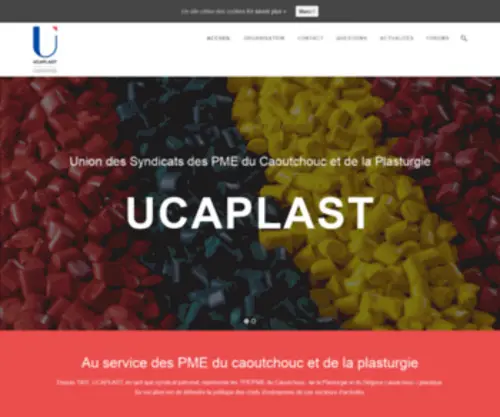 Ucaplast.fr(Syndicat Patronal du Caoutchouc et de la Plasturgie) Screenshot