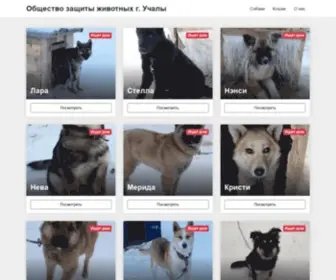 Uchalapriut.ru(Общество защиты животных г) Screenshot