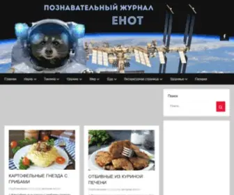Udachnyj-Enot.com.ua(Познавательный журнал ЕНОТ) Screenshot