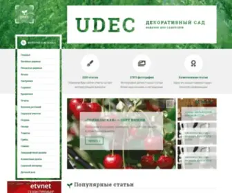 Udec.ru(Интернет ресурс) Screenshot