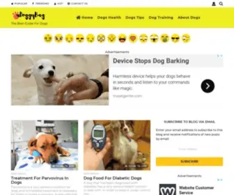 Udoggybag.com(The Best Guide For Dogs) Screenshot