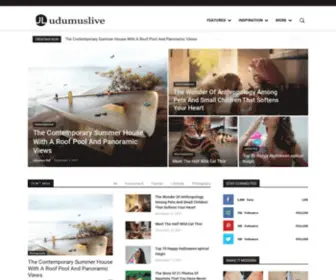 Udumuslive.com(We are a professional website publishing) Screenshot