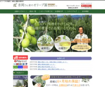 Ueki-Niwaki.com(オリーブの木、鉢植え) Screenshot