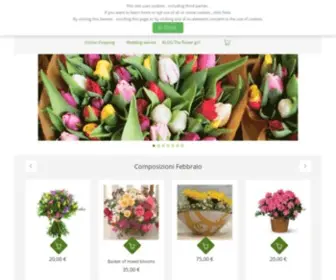 Ugopellecchia.it(Fiori a Salerno) Screenshot