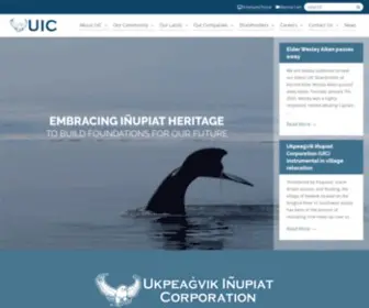 Uicalaska.com(UIC Alaska) Screenshot