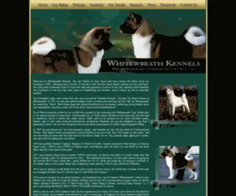 Ukakitas.co.uk(Akita Breeder UK) Screenshot