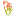 Ukeyf.org Favicon