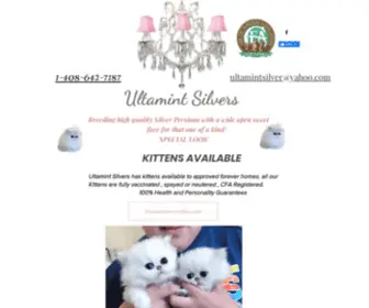 Ultamintsilver.com(Shaded Silver kittens for sale) Screenshot