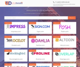 UltraDomains.com(Domain Name Experts) Screenshot