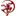 Ultrashapoel.com Favicon