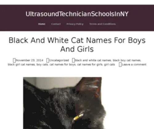 Ultrasoundtechnicianschoolsinny.net(Ultrasound Technician Schools in USA) Screenshot