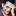 Umeridrisi.com Favicon