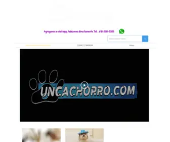 Uncachorro.com(My Site) Screenshot