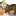 Unclemud.com Favicon
