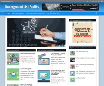 Undergroundlistprofits.com(Underground List Profits) Screenshot