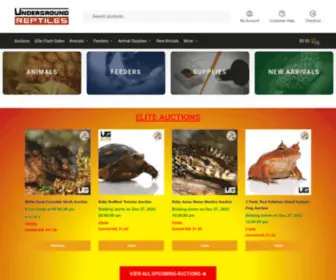 Undergroundreptiles.com(Underground Reptiles) Screenshot