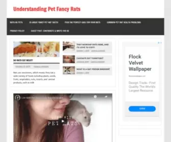 Understandingpetfancyrats.com(Your all in one source for fancy rat information) Screenshot