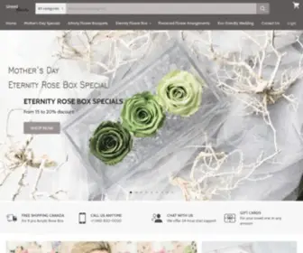 Uneedflowers.com(Preserved Flowers & Greenery) Screenshot