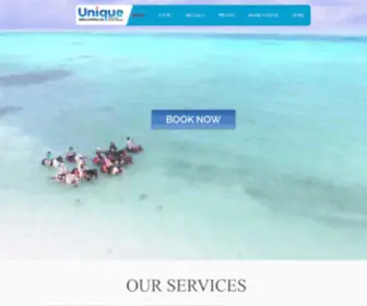 Uniquetoursandrentals.com(11 Exciting Turks And Caicos Excursions) Screenshot