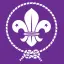 Universidadscout.org Favicon